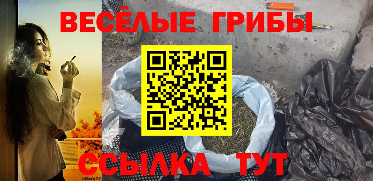 Бердск  Галлюциногенные грибы мухоморы  Вход с VPN 