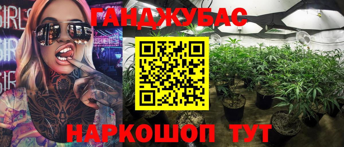 Конопля тримм  Марихуана LSD WEED  Бердск  Бошки Шишки MAZAR  Вход с VPN  Бошки Шишки план 